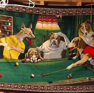 Meet your Posher, Matthew